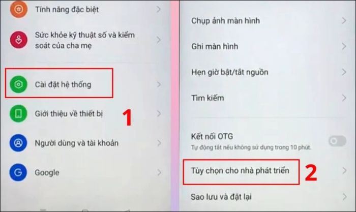 Chọn mục Tùy chọn nhà phát triển