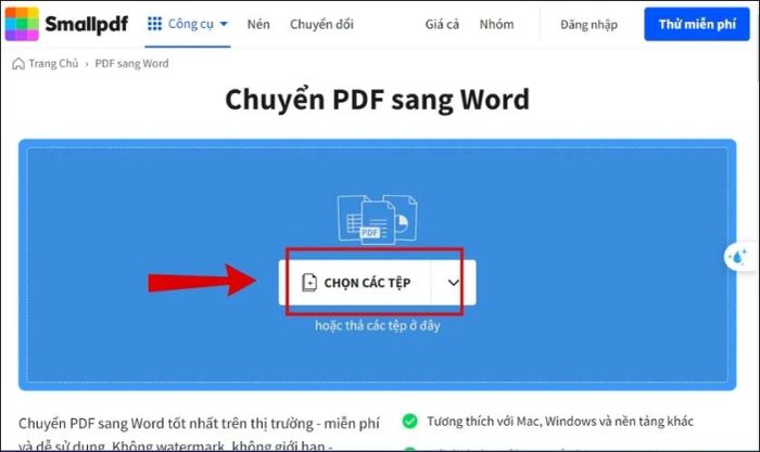 TOP công cụ giúp khắc phục lỗi font khi chuyển PDF sang Word hiệu quả
