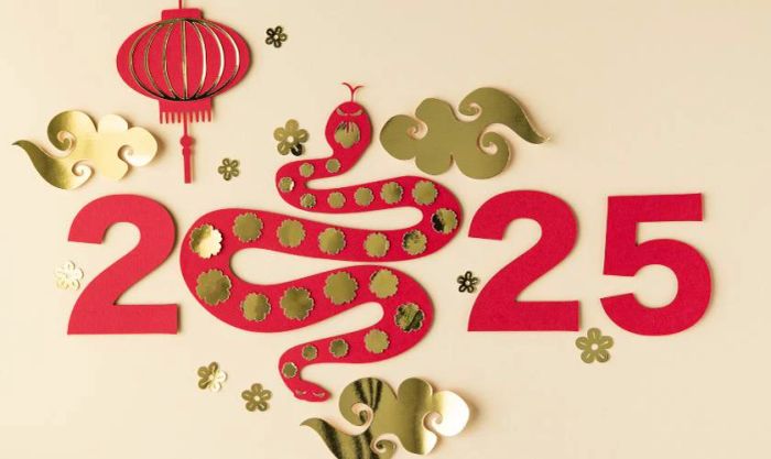 Biểu tượng Tết năm 2025 mang ý nghĩa gì?