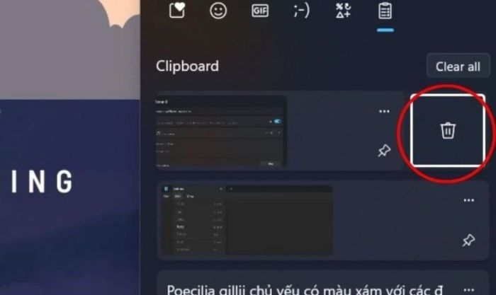 Hướng dẫn chi tiết cách xóa lịch sử sao chép trên máy tính Windows