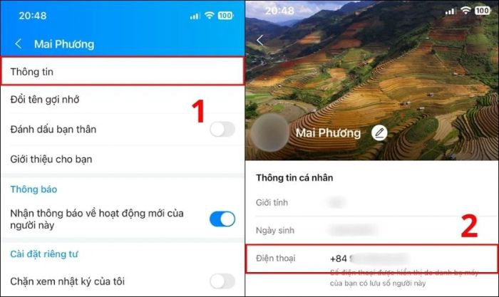 Tiếp theo, bạn chọn mục Thông tin trong danh sách tùy chọn hiển thị
