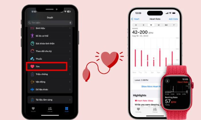 Hướng dẫn xem biểu đồ tổng hợp nhịp tim