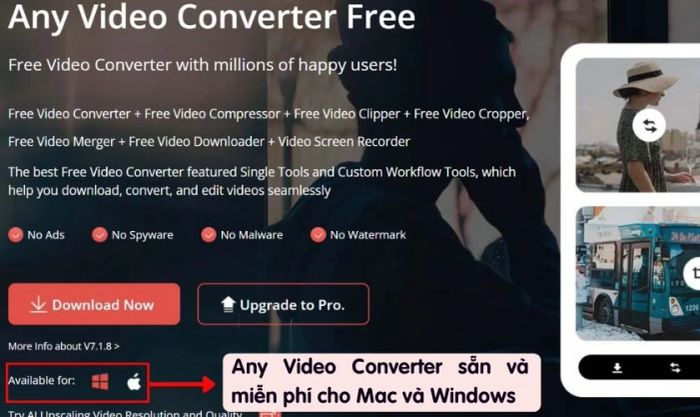 Hướng dẫn chuyển đổi MP4 sang MP3 bằng Any Video Converter Free