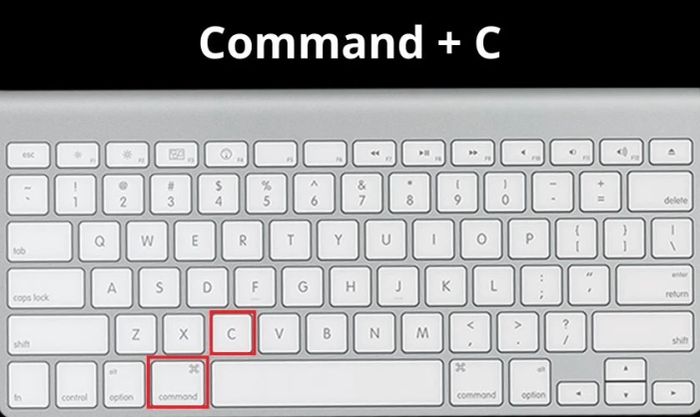 Nhấn đồng thời phím Command và C để thực hiện sao chép