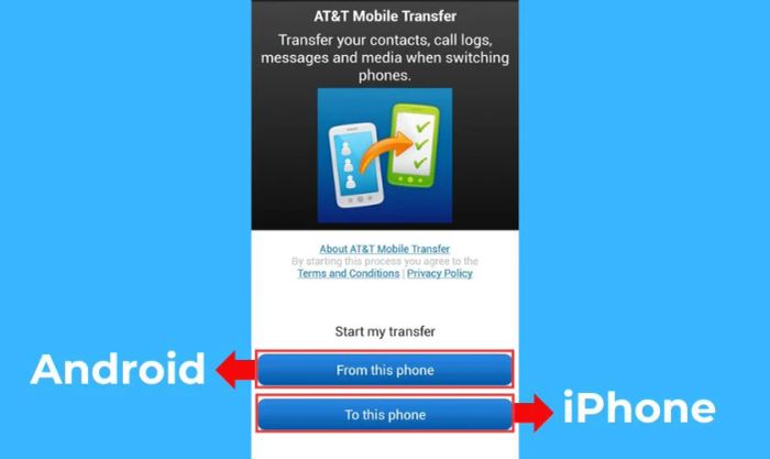 Trên máy iPhone, chọn mục To this phone.