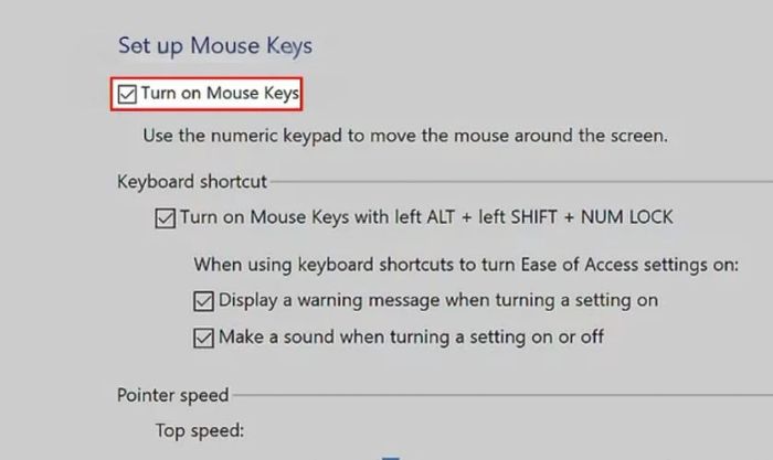 Dùng phím mũi tên xuống để chọn ô có dòng chữ Turn on Mouse Keys và nhấn phím +