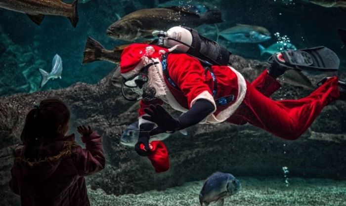 Tặng quà dưới đáy biển