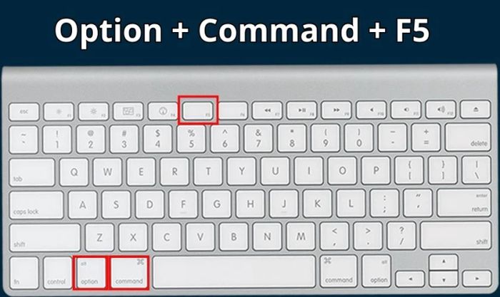 Nhấn giữ tổ hợp phím Option + Command + F5