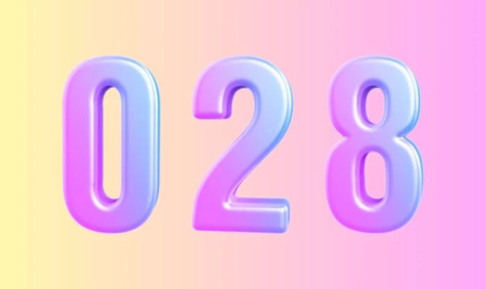 Ý nghĩa các con số trong đầu số 028