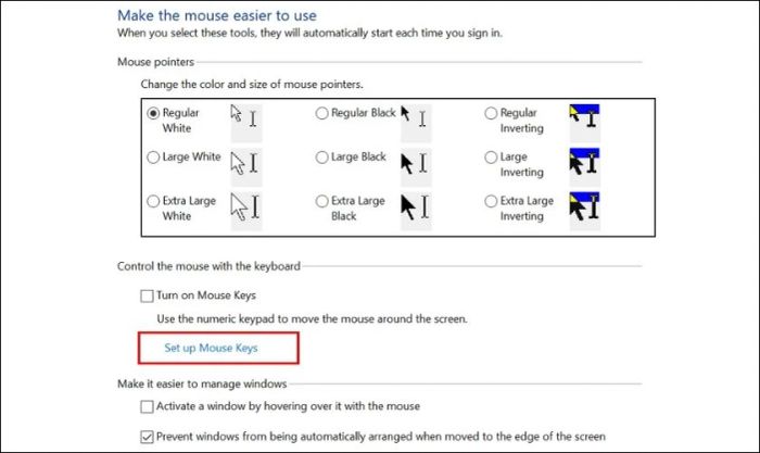 Chọn vào Set up Mouse Keys