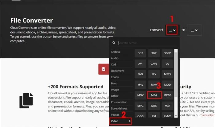 Trên trang chủ, tại mục convert, chọn Video sau đó chọn MP4