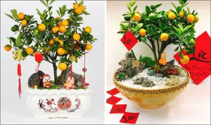 Nên chọn quà Tết gì cho bố mẹ vợ? Hãy cân nhắc ngay cây cảnh chưng Tết