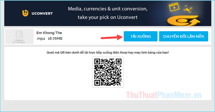 Con bò và lừa là những loài vật mộc mạc, thường được đặt gần máng cỏ nơi Chúa Hài Đồng nằm