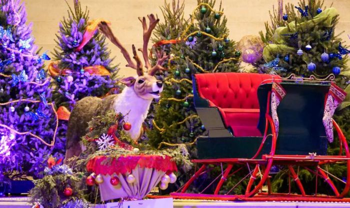 Hình nền Giáng sinh tuần lộc vui nhộn