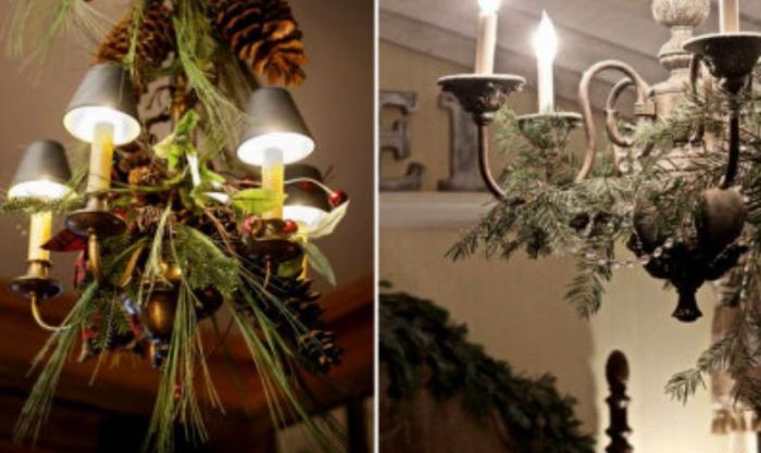 Tại sao cây tầm gửi lại được treo ở cửa ra vào?