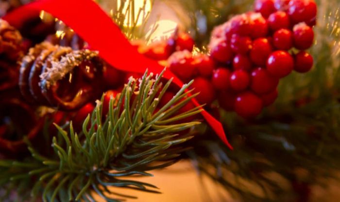 Hình ảnh cây mistletoe thu hút và nổi bật trong mùa lễ hội