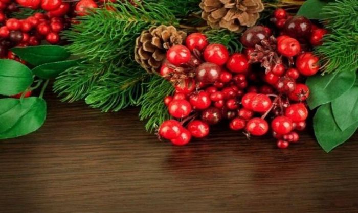 Hình ảnh cây mistletoe trong mùa Noel