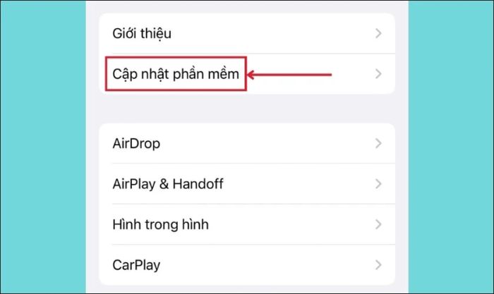 Chọn mục Cập nhật phần mềm