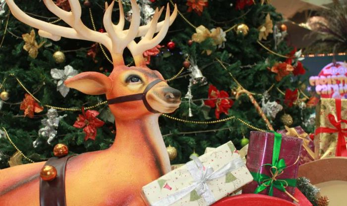 Hình nền Giáng sinh với tuần lộc