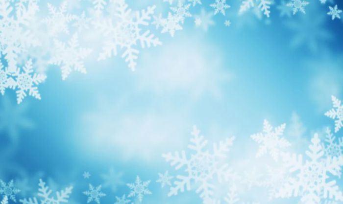 Hình nền hoa tuyết đẹp đến mê hoặc