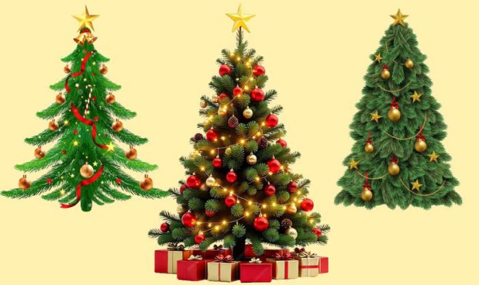 Cây thông Noel
