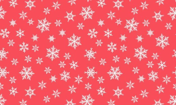 Hình nền hoa tuyết với sắc đỏ rực rỡ