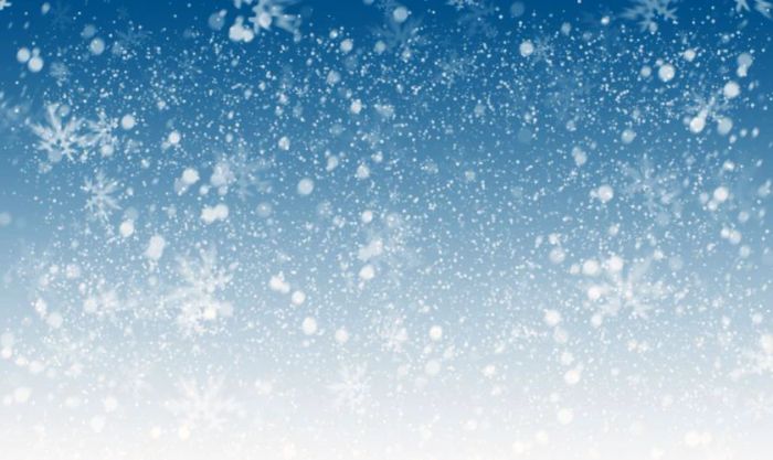 Hình nền hoa tuyết lấp lánh và quyến rũ