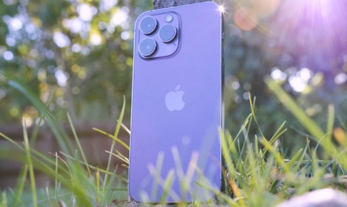 iPhone 14 Pro Max
