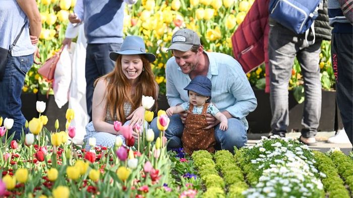 Visitors exploring and shopping at the festival