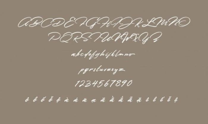 Font việt hóa MTD Colatin mang phong cách cổ điển với nét chữ bay bổng và nghệ thuật.