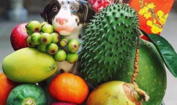 Hình ảnh mâm ngũ quả đẹp và độc đáo