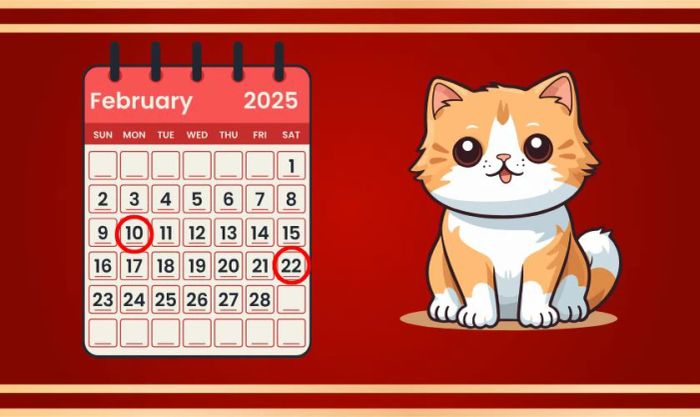 Xem ngày đẹp tháng 2 năm 2025 dành cho tuổi Mão