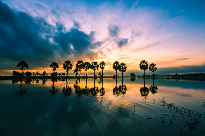 Banner sale Black Friday dễ thương theo phong cách hoạt hình