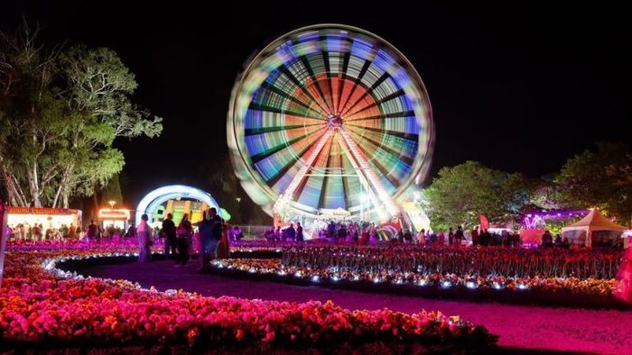 Vibrant Night Fest at the festival