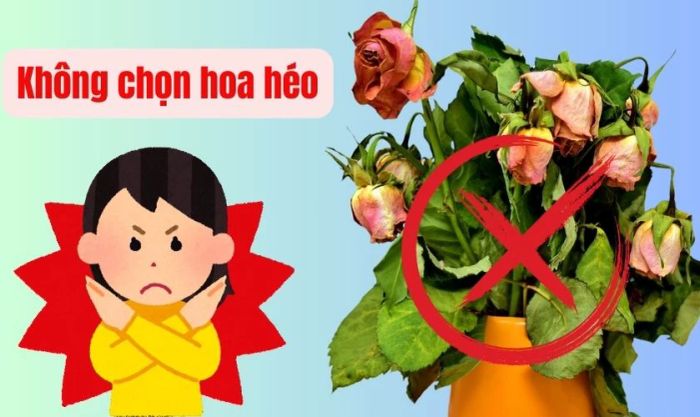 Khi chọn hoa trang trí Tết, tiêu chí đầu tiên là chọn hoa tươi mới