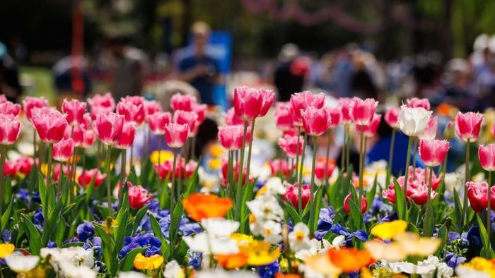 The Floriade Flower Festival welcomes visitors free of charge