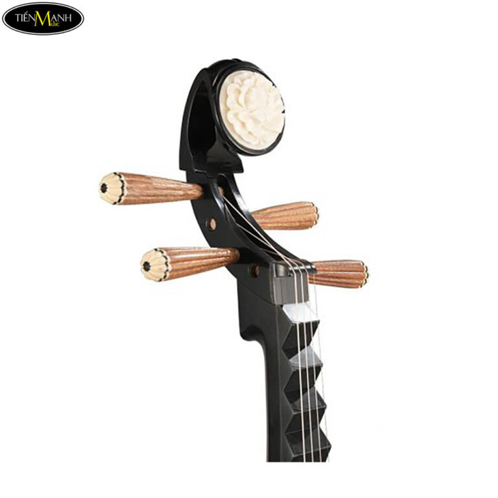 Tien Manh Musical Instruments Image 2