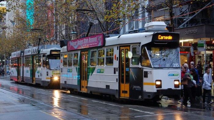 Buses and trams in Australia
