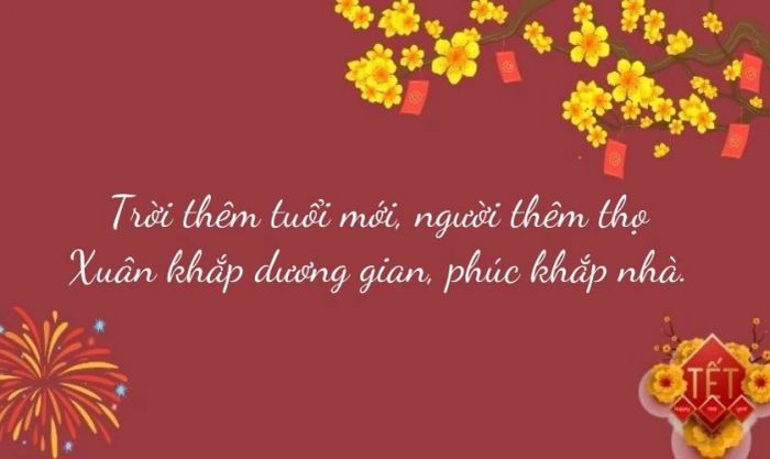 STT chúc mừng gia đình trong dịp Tết Ất Tỵ, không thể bỏ qua!
