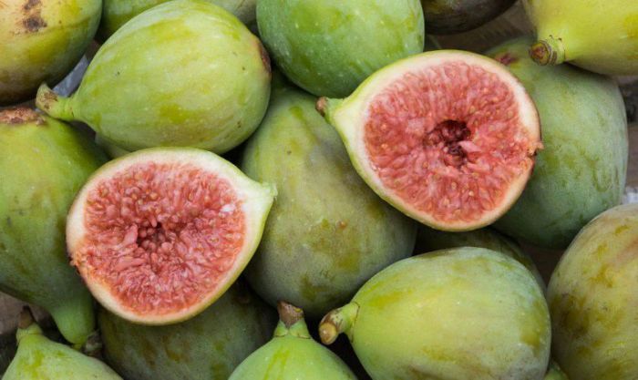 Quả sung là loại trái cây không thể vắng mặt trong mâm ngũ quả ngày Tết