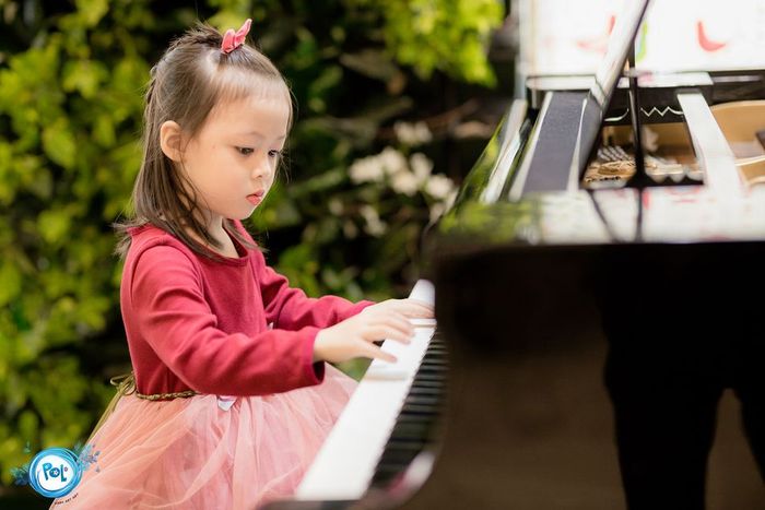 Polaris Art & Music School Photo 1