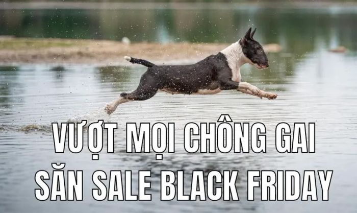 Ảnh chế vui nhộn cho dịp khuyến mãi cuối năm