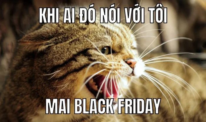 Ảnh chế hài hước cho dịp Black Friday