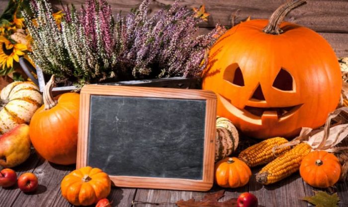 Ý tưởng trang trí sân khấu Halloween bằng bí ngô độc đáo