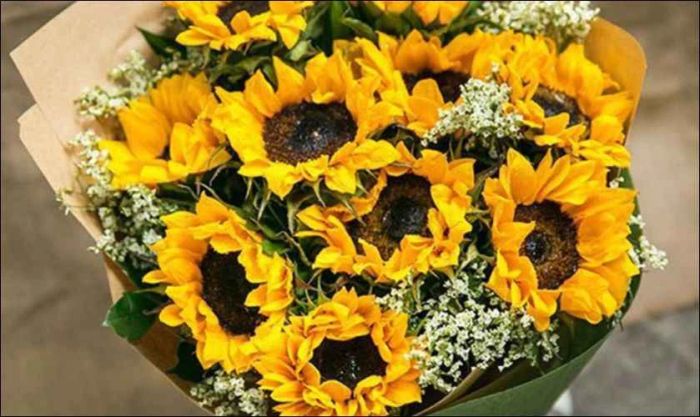 Hoa hướng dương đáng yêu và ngọt ngào