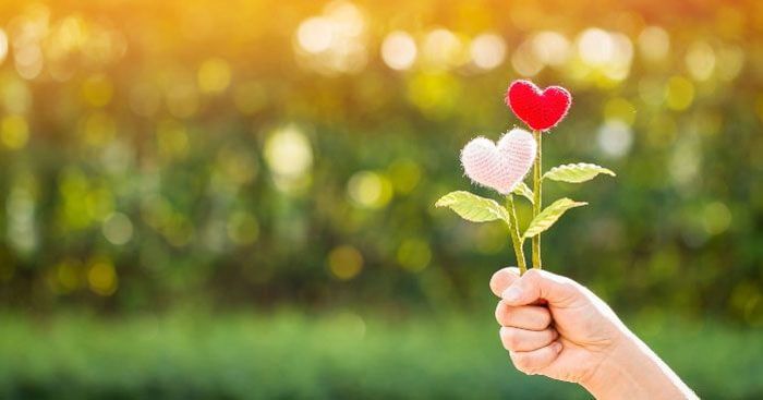 Khám phá ý nghĩa sâu sắc của câu tục ngữ Ở hiền gặp lành qua những phân tích chi tiết và giàu tính nhân văn.