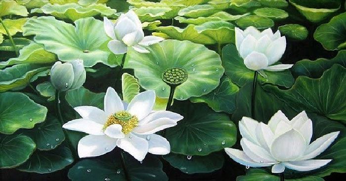 Dàn ý phân tích và giải thích bài ca dao Trong đầm gì đẹp bằng sen