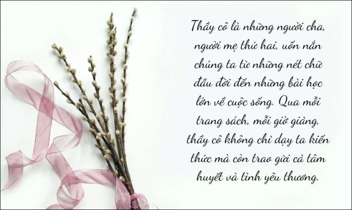 Xã luận ấn tượng 20/11 giúp bạn giành giải cao