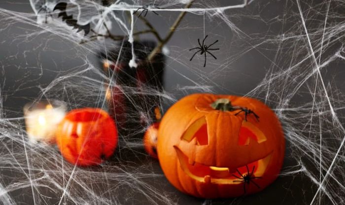Treo bí ngô và mạng nhện để trang trí sân khấu Halloween