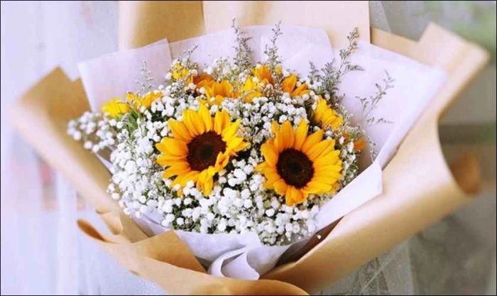 Hoa hướng dương với vẻ đẹp giản dị